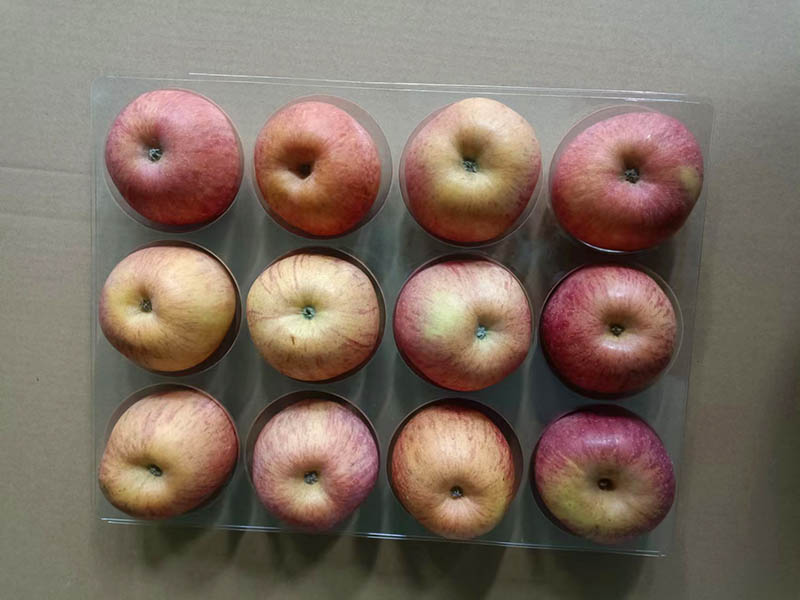 PET吸塑托盘